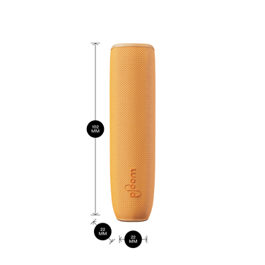 Capa traseira Mango Sorbet